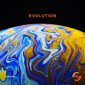 VA - Evolution