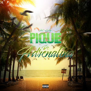 DJ GH Sheik - Pique de Adrenalina