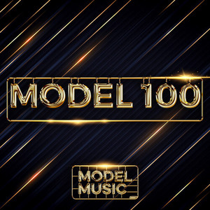 MODEL 100