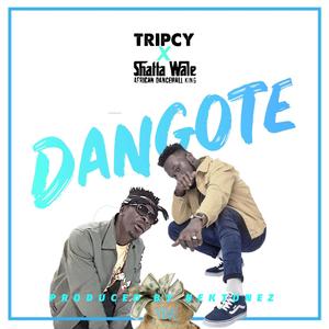 Dangote (feat. Shatta Wale) (Explicit)
