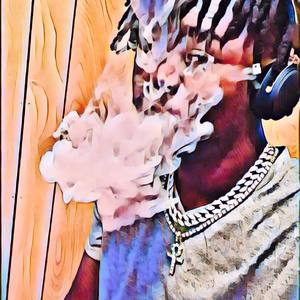 Questions (Explicit)