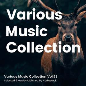 Various Music Collection Vol.23 -Selected & Music-Published by Audiostock-