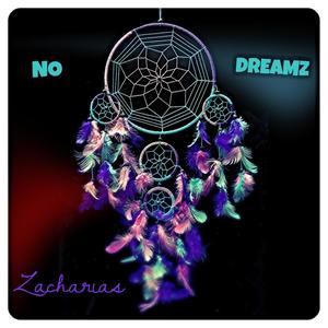 No Dreamz