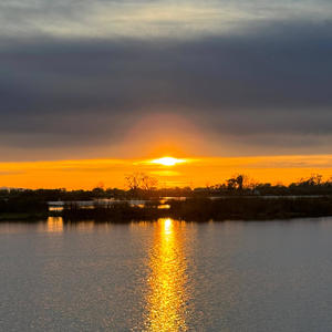 D-DAY (BOOGEYMAN.) (Explicit)