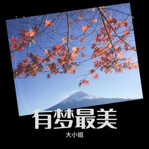 有梦最美