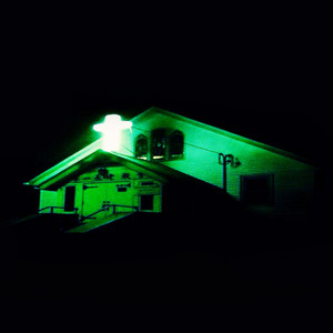 Terror Gang (Explicit)