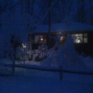 the year (feat. fallinslime)