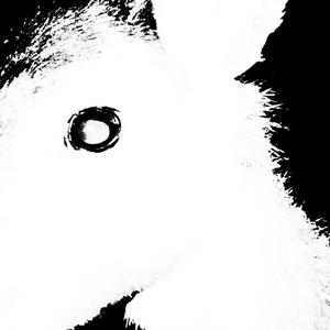 3AM (feat. H!CKEY) (Explicit)