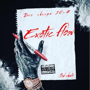 EXOTIC FLOW (feat. 10-4)