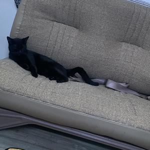 Here Is A Piece Of Me For Peace Of Mind