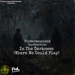 In The Darkness (Where We Could Play)