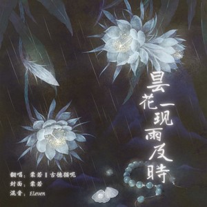 昙花一现雨及时 (DJ版)