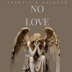 NO LOVE (feat. SaintLR) (Explicit)