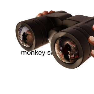 Monkey See