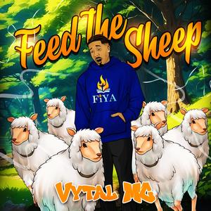 Feed the Sheep