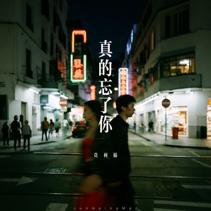 真的忘了你封面