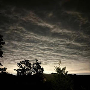 if anyone can hear me