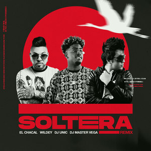 Soltera (Remix)