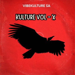 Kulture, Vol. X