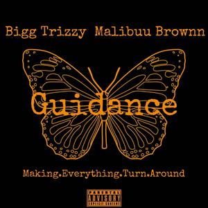 Guidance (feat. Malibuu Brownn) [Explicit]