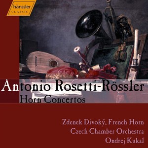 Horn Concerto in D Minor, C. 38/III:43 - II. Adagio