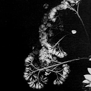 magma / forge and crucible (Reworking by Troth)