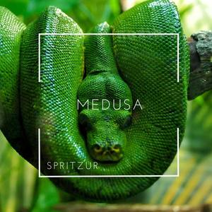Medusa (Explicit)