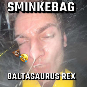 Sminkebag