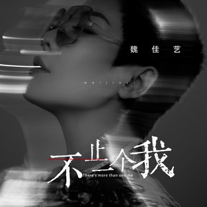 魏佳艺 - 不止一个我