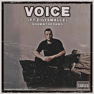 Voice (feat. zigysmallz) [Explicit]