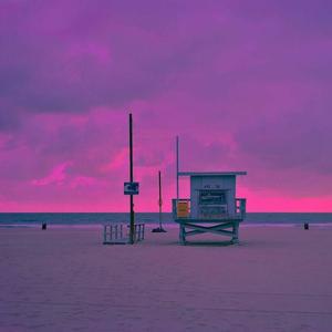 Venice Beach (feat. Phonka) (Explicit)