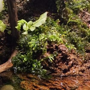 Dj Ricky Remixing Beat Drop