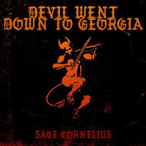 The Devil Went Down To Georgia (Explicit)