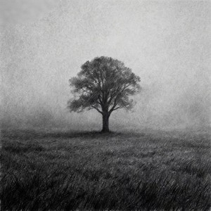 听阴天你也会感同身受吗