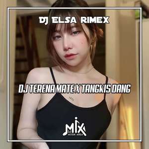 DJ Terena Mete X Tangkis Dang - Inst