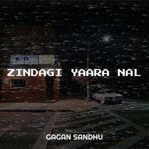 Zindagi Yaara Nal