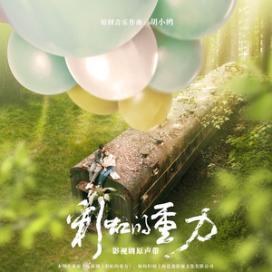 远在咫尺的爱 - 房东的猫封面