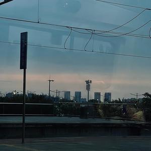 棕旨封面