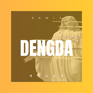 看不到你 (DJ版)