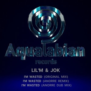 I'm Wasted (Anorre Remix)