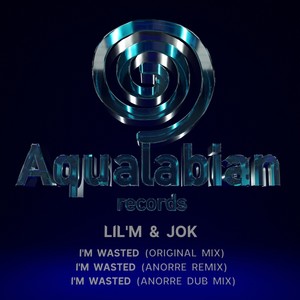 I'm Wasted (Anorre Remix)