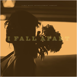 I Fall Apart