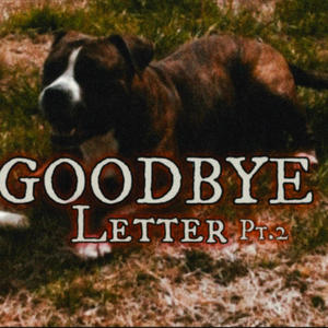 GOODBYE LETTER Pt. 2