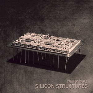 Silicon Structures