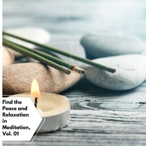 Find The Peace And Relaxation In Meditation, Vol. 01