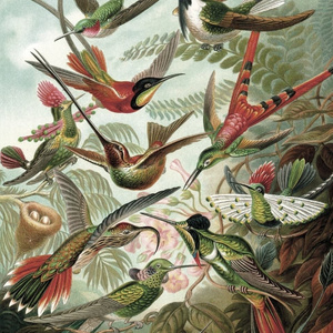 Let's Build a Sandcastle