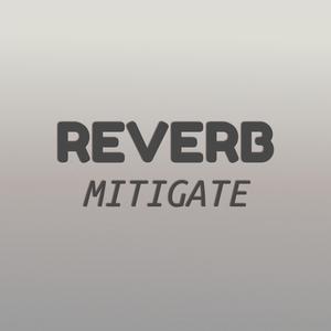 Reverb Mitigate