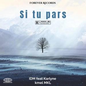 Si Tu Pars... (feat. MK Luxury, K'mel & Karline)