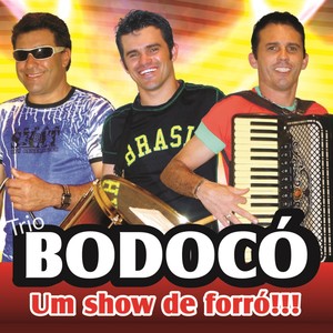 Um Show de Forró