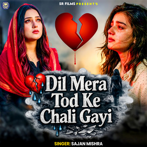 Dil Mera Tod Ke Chali Gayi